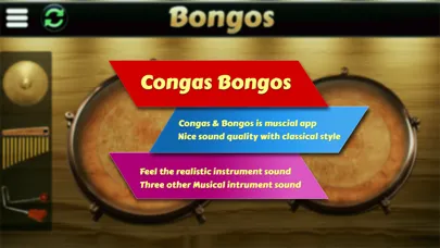 Garage Virtual Congas & Bongos应用截图