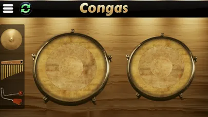 Garage Virtual Congas & Bongos应用截图
