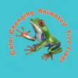 Color Changing Tree Frogs Color Changing Tree Frogs