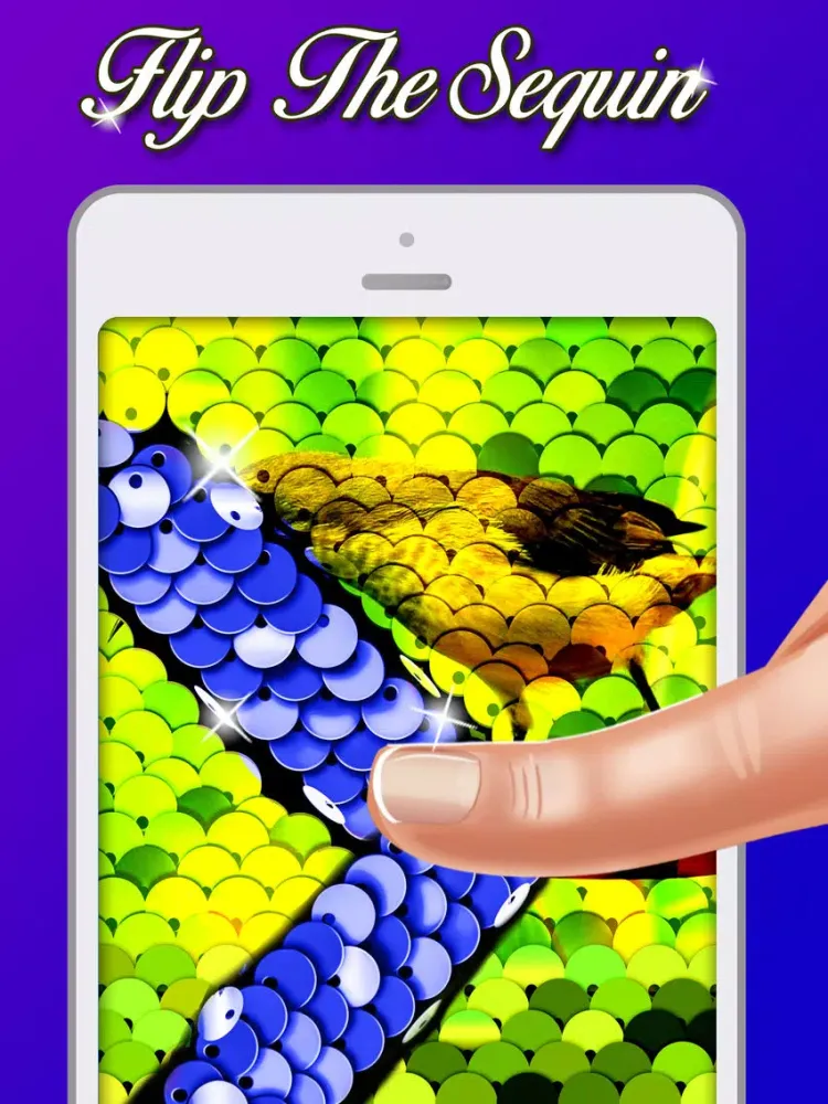 DIY Sequin Simulator iPad 应用截图