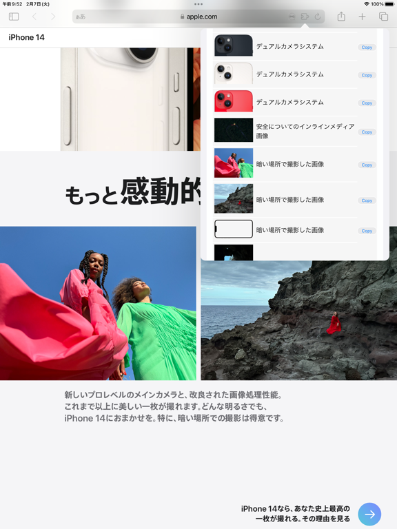 Ảnh chụp màn hình của Alt Viewer iPad 