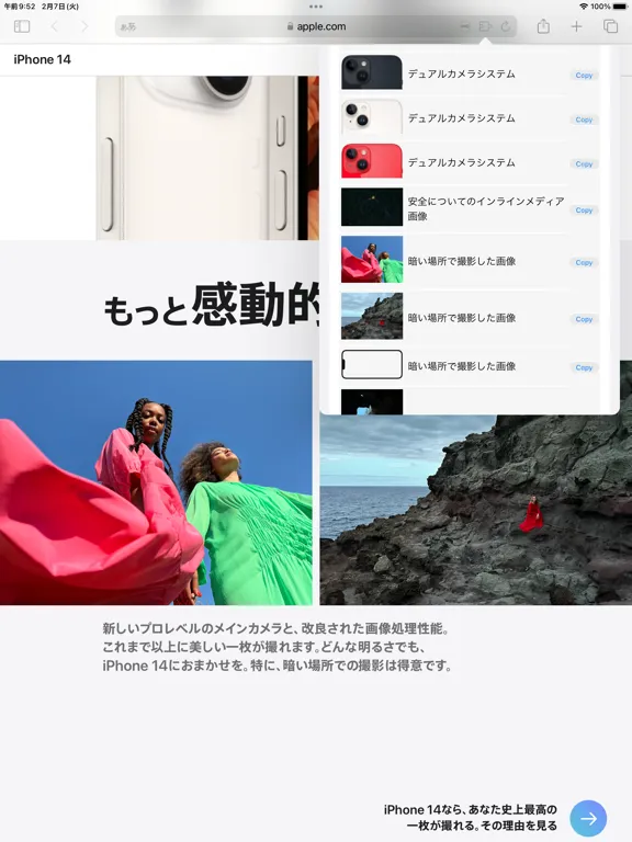 Tangkapan skrin Alt Viewer iPad 
