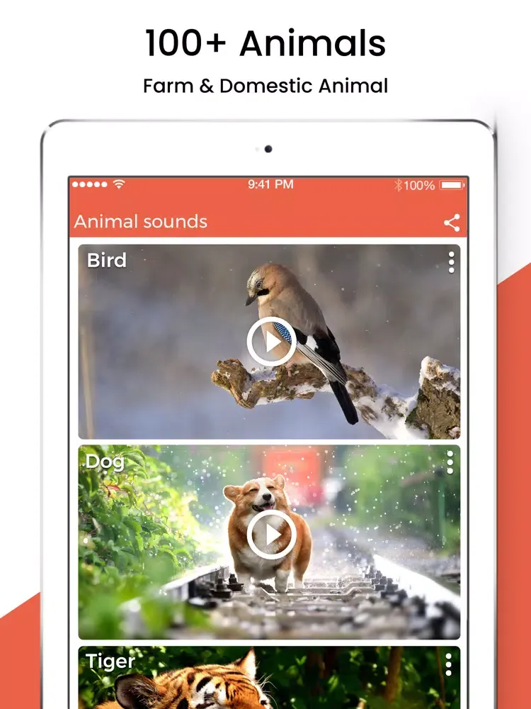 Animal Sound Ringtones iPad  স্ক্রিনশট