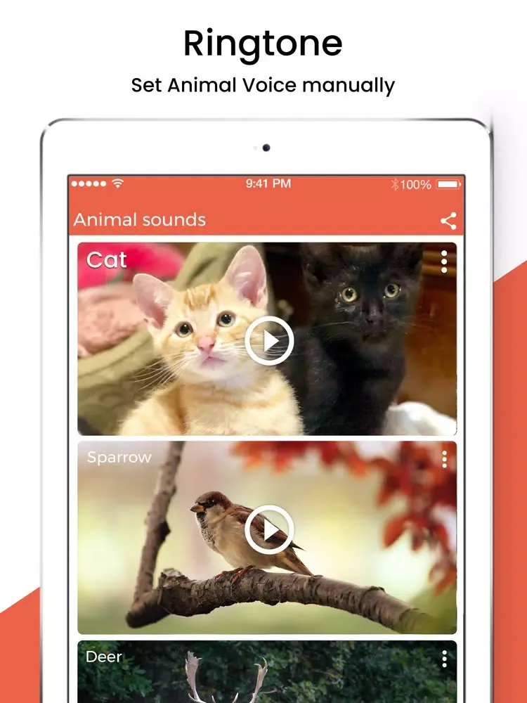 Animal Sound Ringtones iPad  স্ক্রিনশট
