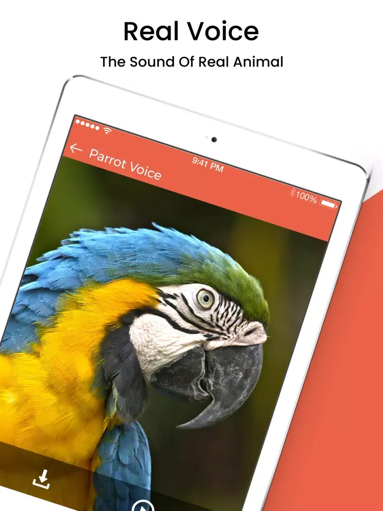 Animal Sound Ringtones iPad  স্ক্রিনশট