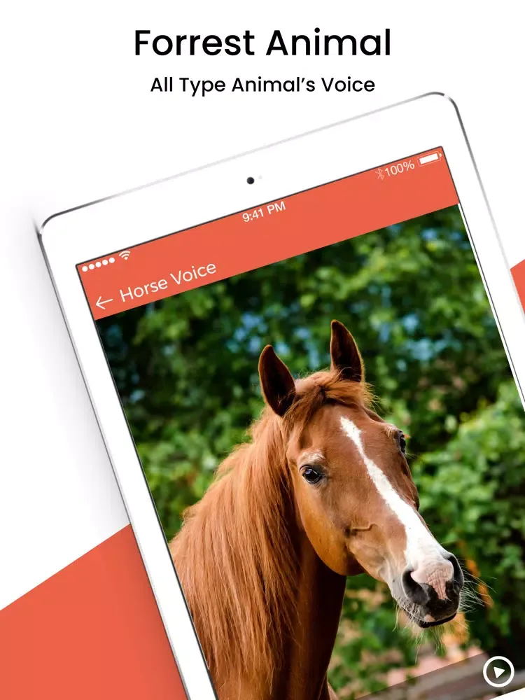 Animal Sound Ringtones iPad  স্ক্রিনশট