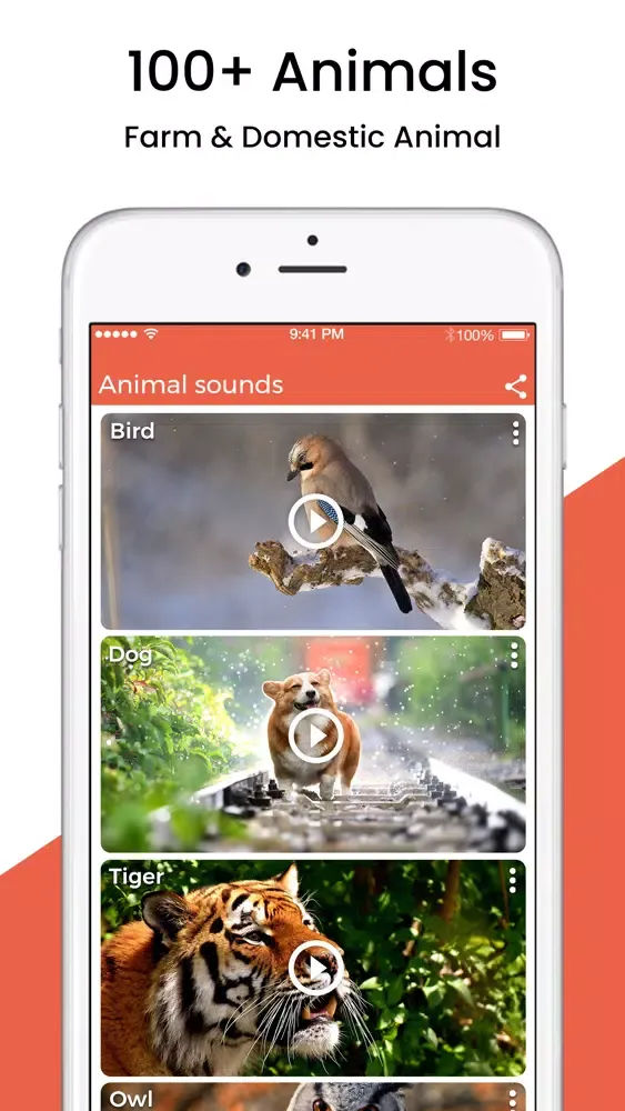 Animal Sound Ringtones স্ক্রিনশট
