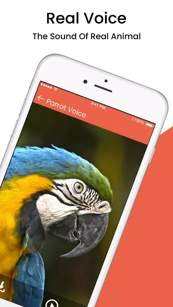 Animal Sound Ringtones স্ক্রিনশট