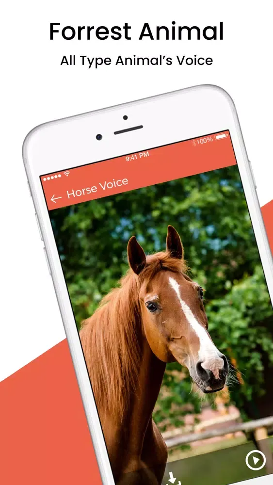Animal Sound Ringtones স্ক্রিনশট