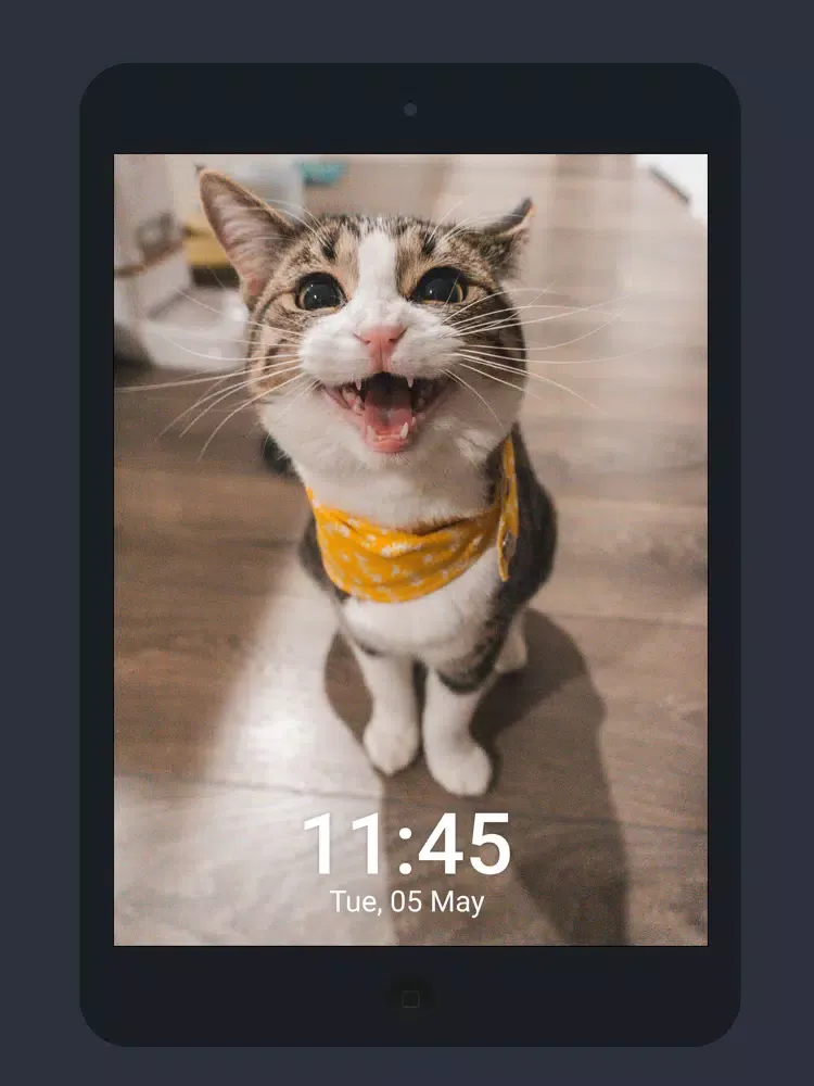 Wallpapers Live - HD Wallpaper iPad  Screenshots