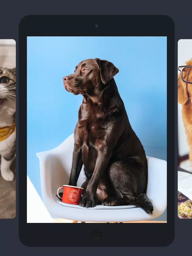 Wallpapers Live - HD Wallpaper iPad  Screenshots