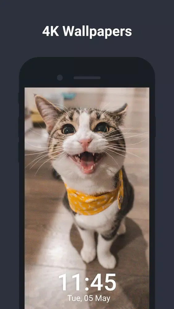 Wallpapers Live - HD Wallpaper Screenshots