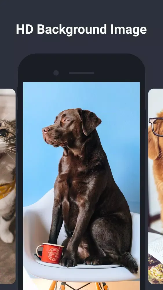 Wallpapers Live - HD Wallpaper Screenshots