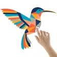 ColorMe: Adult Coloring Books