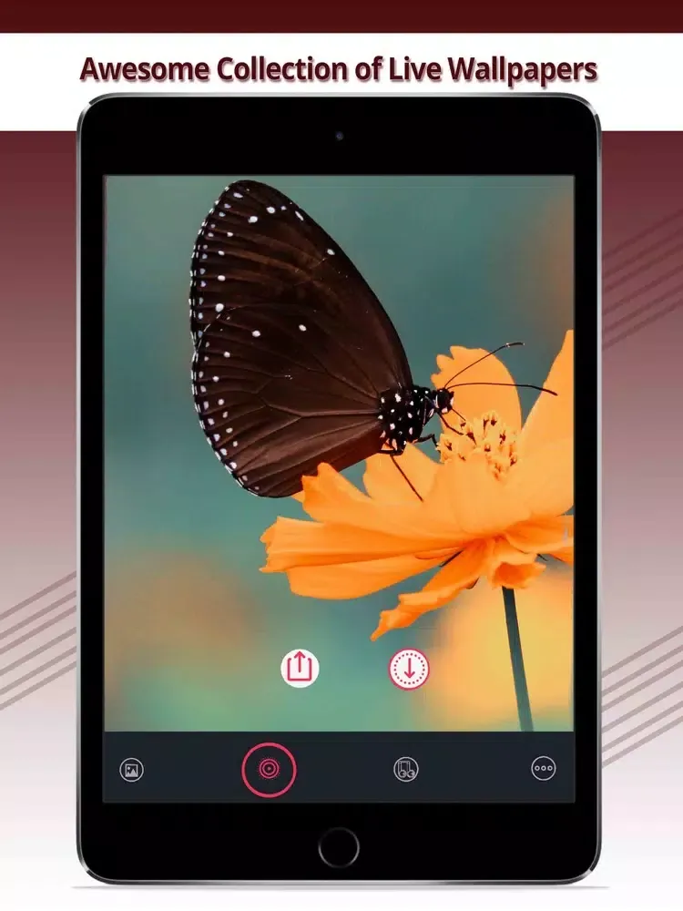 تصاویر Waltone:LiveWallpaper,RingTone iPad 