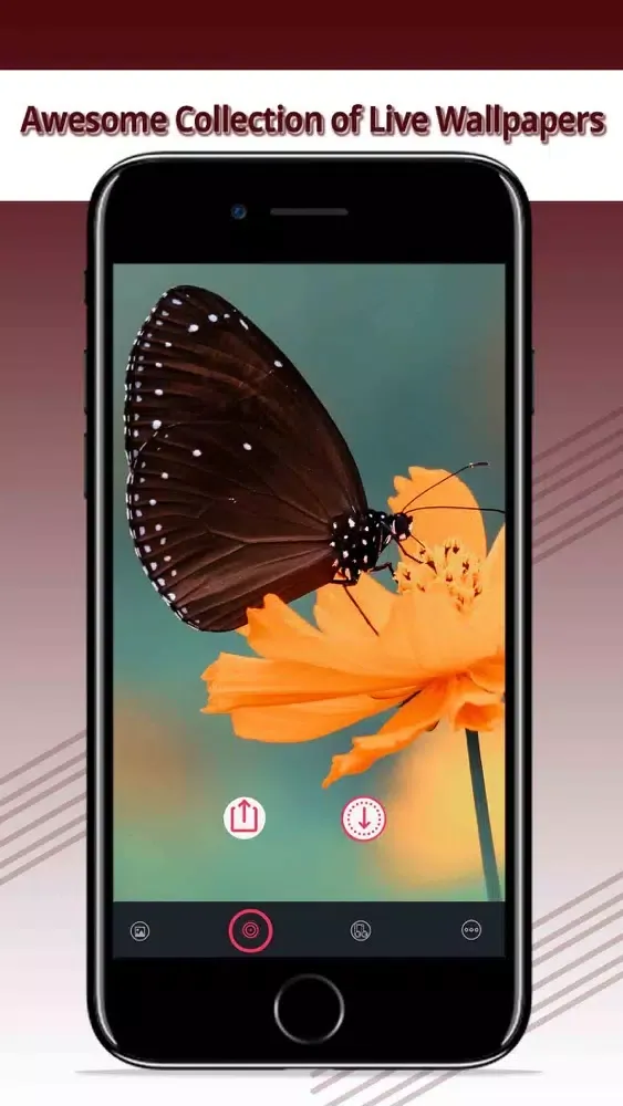 تصاویر Waltone:LiveWallpaper,RingTone