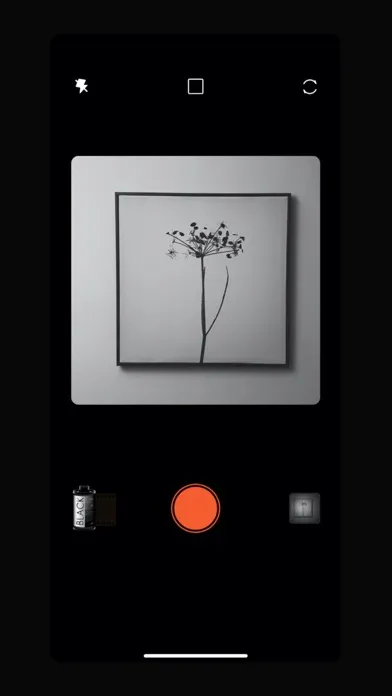 Capturas de pantalla de Feilin-复古特效胶片相机，体验自制胶片的美感