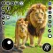 Lion Simulator Animal Games 3D