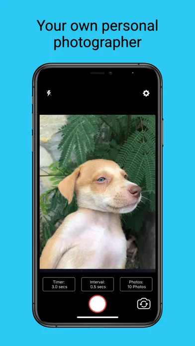 ภาพหน้าจอของ Selfier -Take handsfree photos