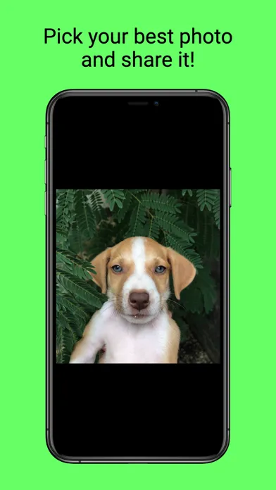 ภาพหน้าจอของ Selfier -Take handsfree photos