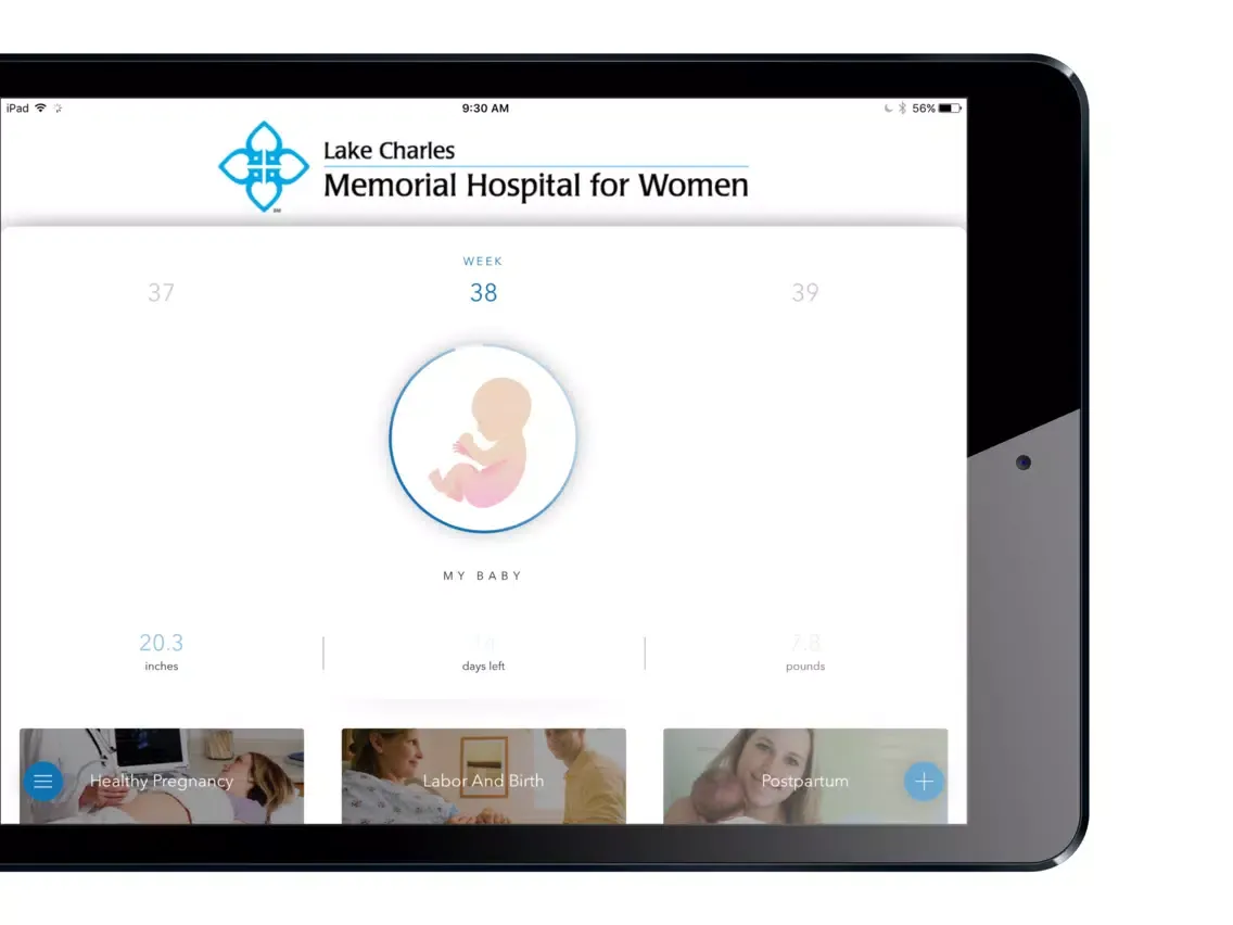 Tangkapan skrin MemorialMommy iPad 