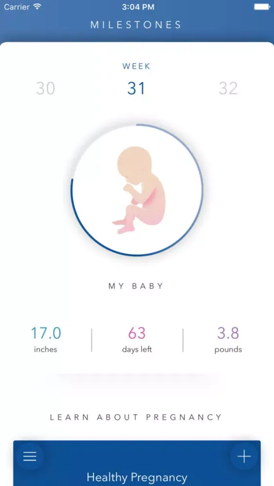 NSH Baby Bump应用截图