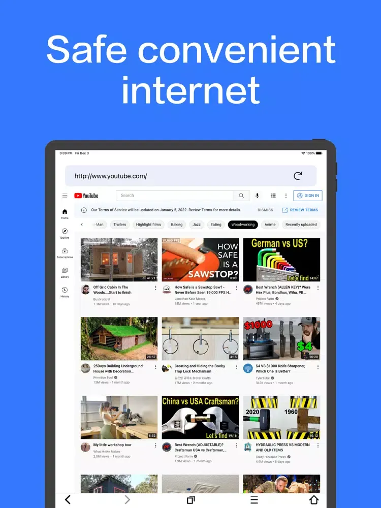 Shadow browser-enjoy browsing iPad 应用截图