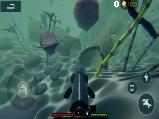صور 3D Fish Growing iPad 