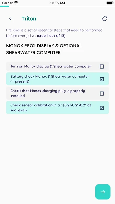 Screenshot di CCR Checklist