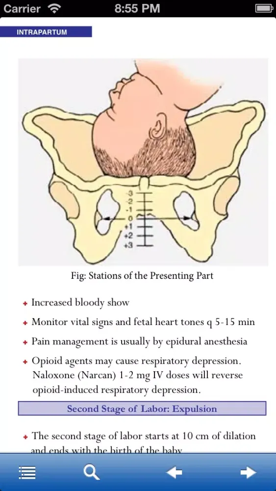 Obstetrics and Gynecology Nursing Manual スクリーンショット