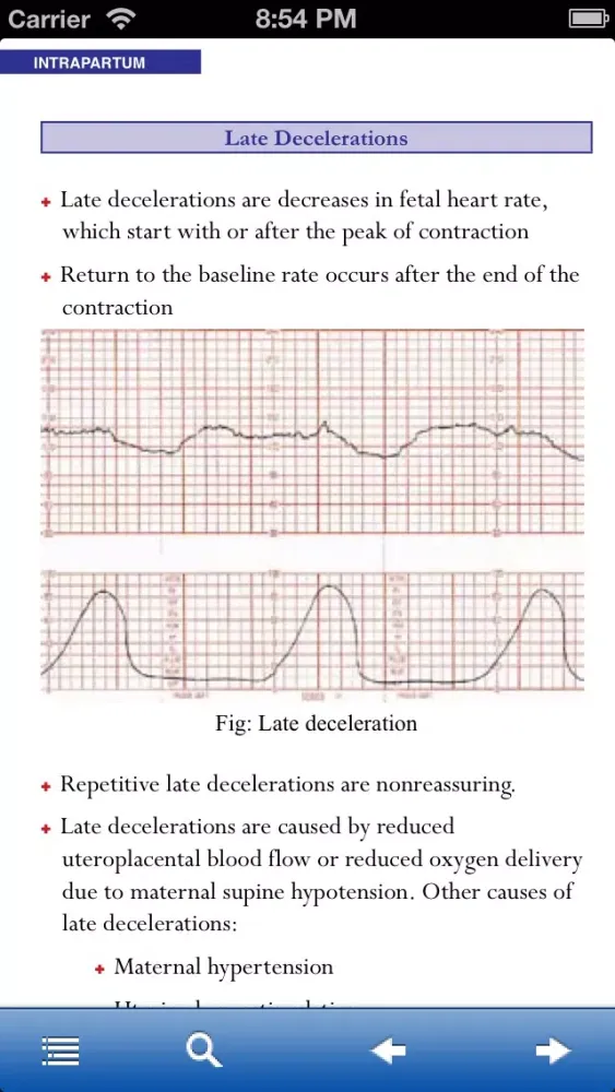 Obstetrics and Gynecology Nursing Manual スクリーンショット