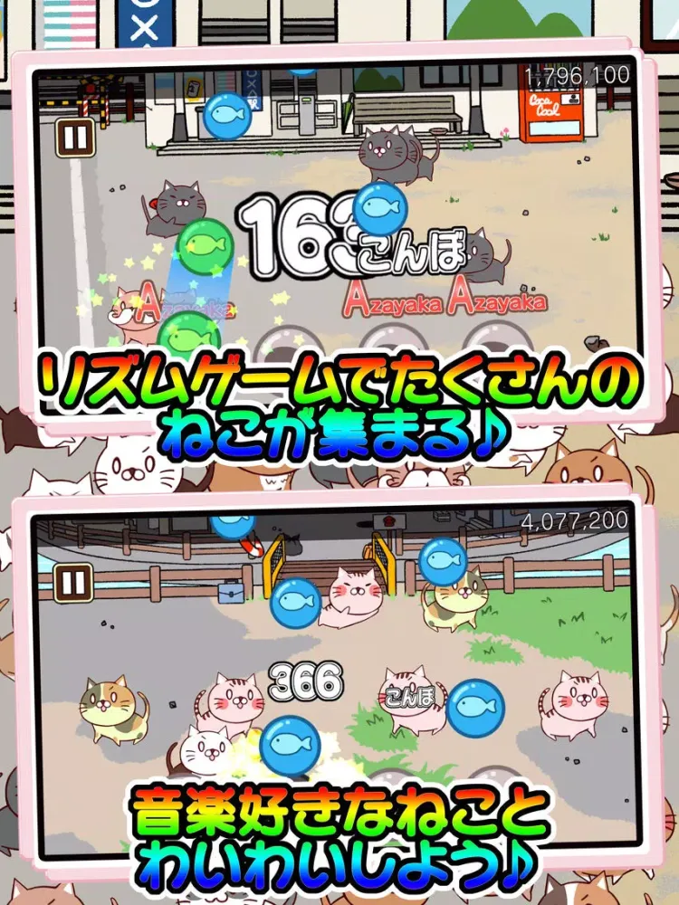 صور ねこび〜と iPad 