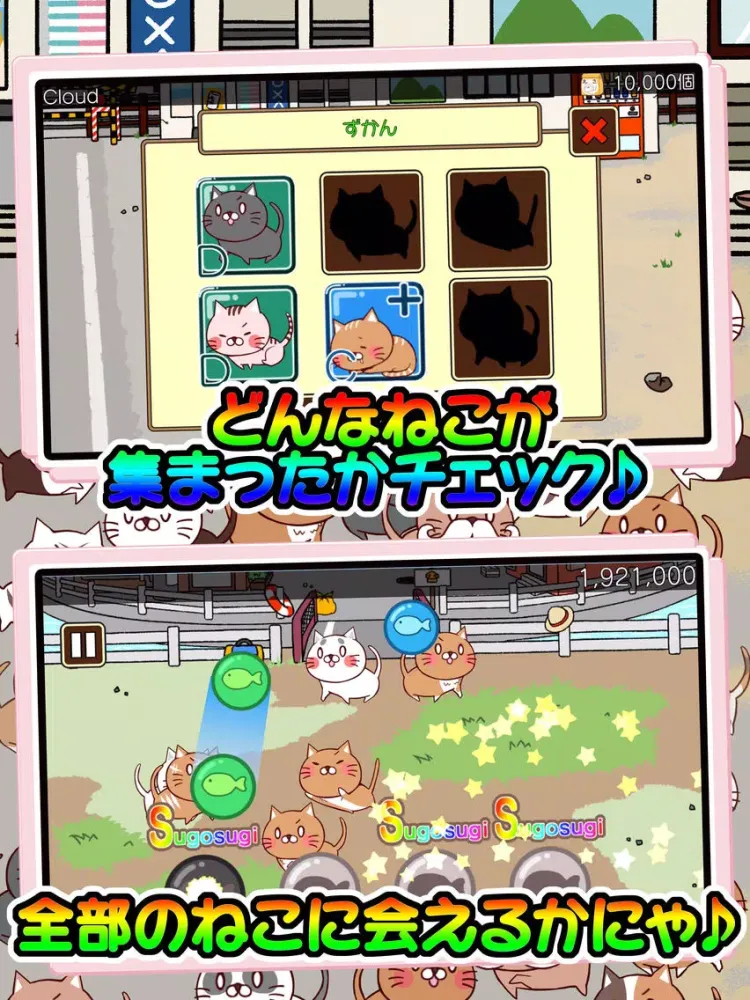 صور ねこび〜と iPad 