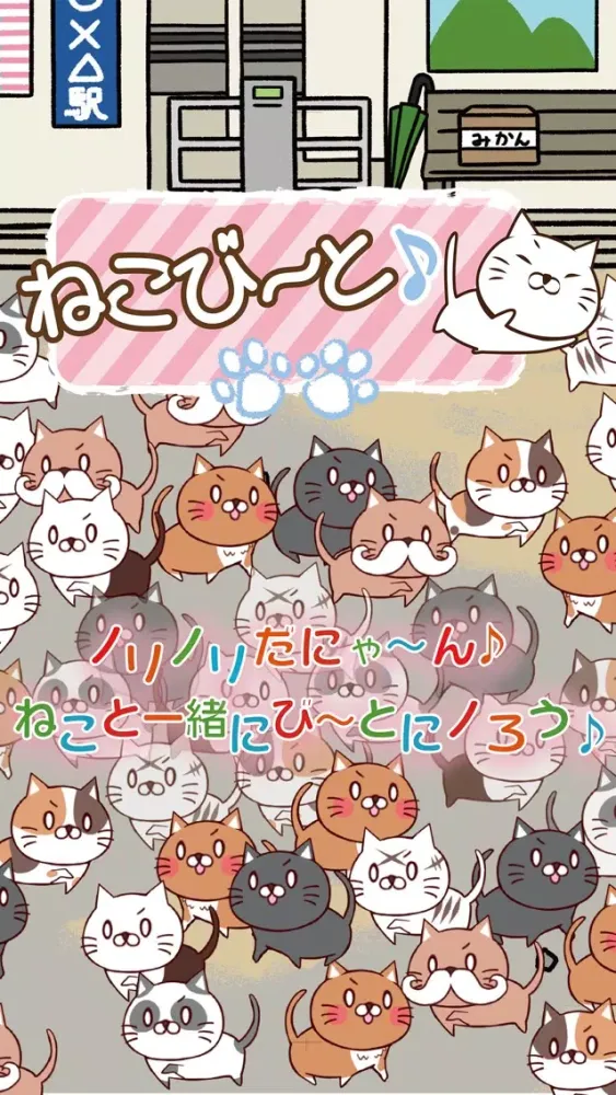 صور ねこび〜と