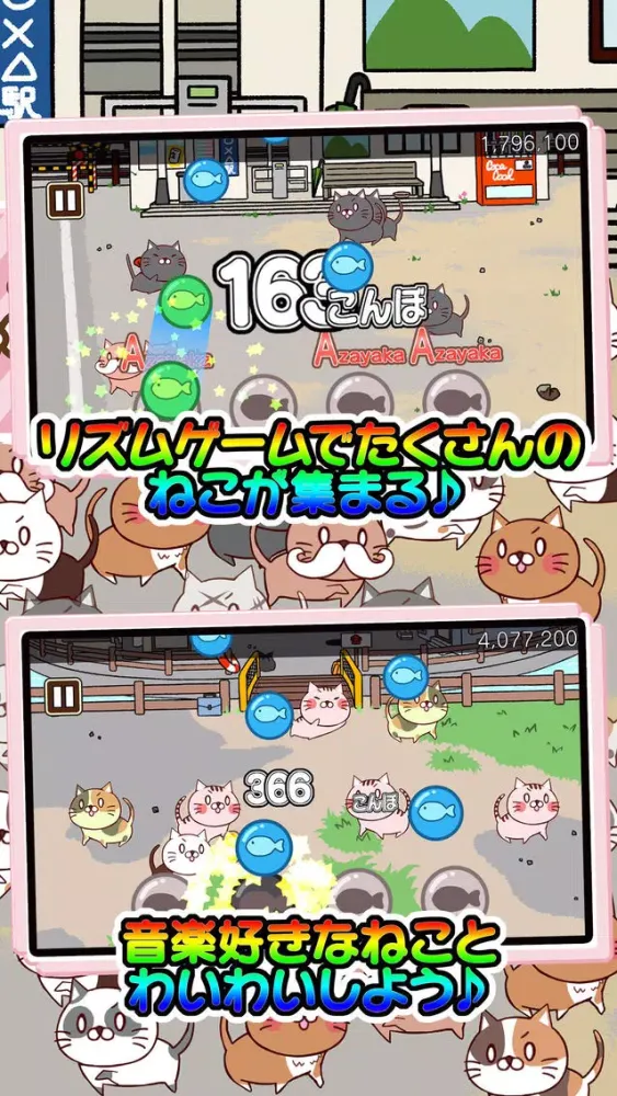 صور ねこび〜と