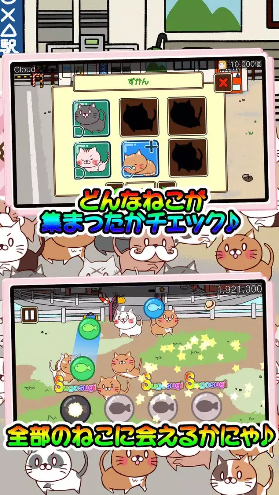 صور ねこび〜と
