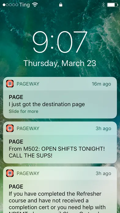 Pageway Messenger سکرین شاٹس