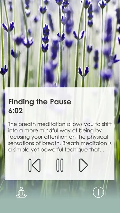 Ảnh chụp màn hình của Mindful Moments by CCW