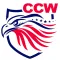 Concealed Carry Permit CCW App