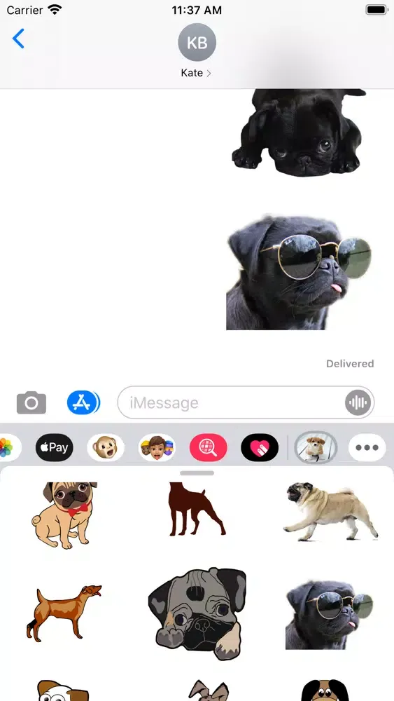 Amazing Dogs 스크린샷