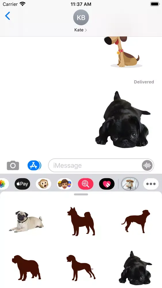 Amazing Dogs 스크린샷