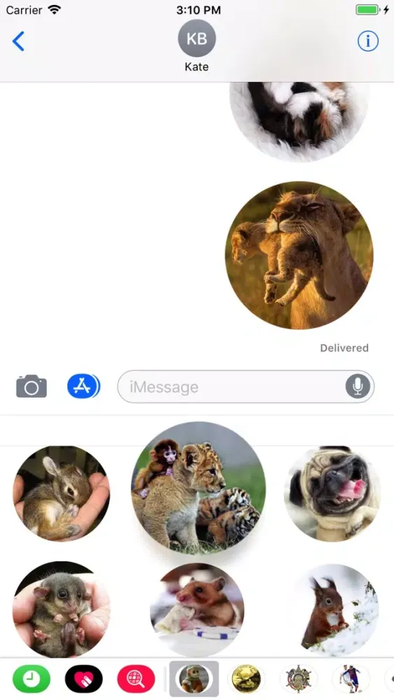Amazing Zoo Sticker স্ক্রিনশট