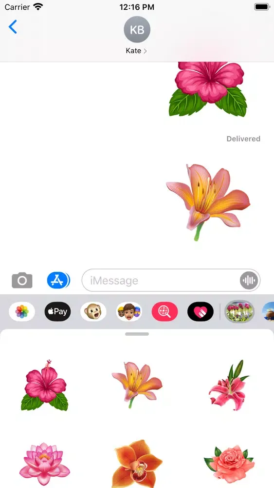 Ultimate Flower Collection Ekran Görüntüleri