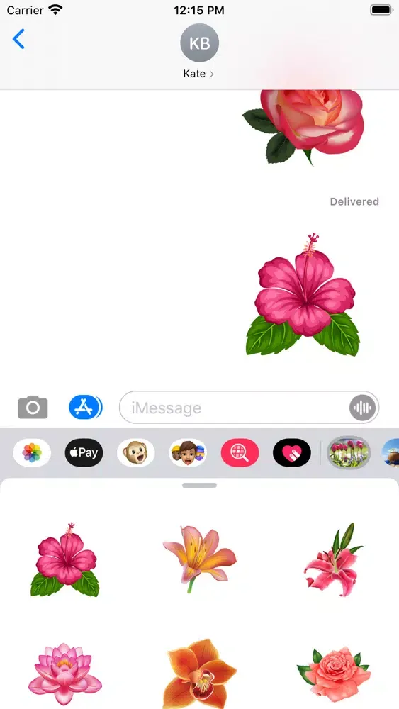 Ultimate Flower Collection Ekran Görüntüleri