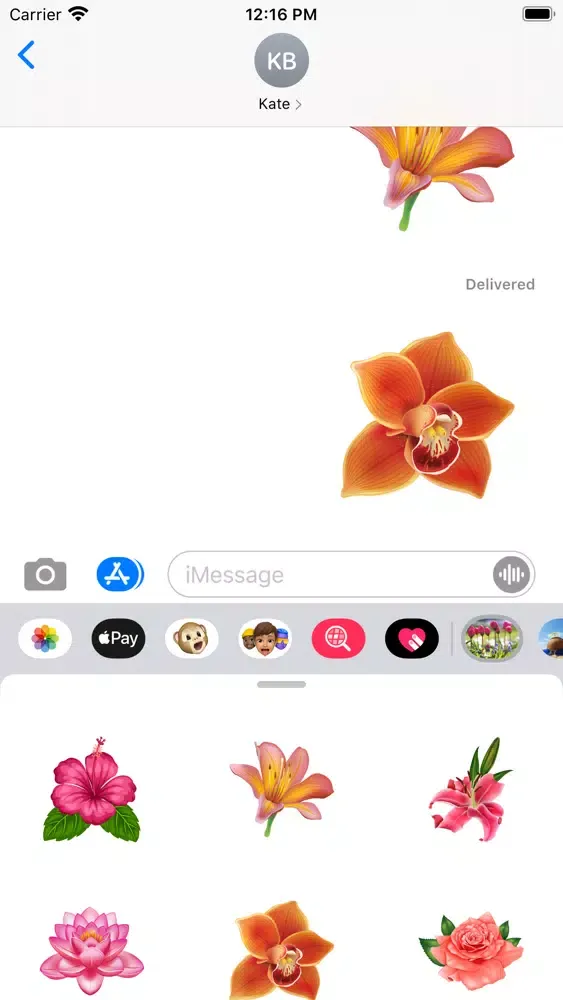 Ultimate Flower Collection Ekran Görüntüleri