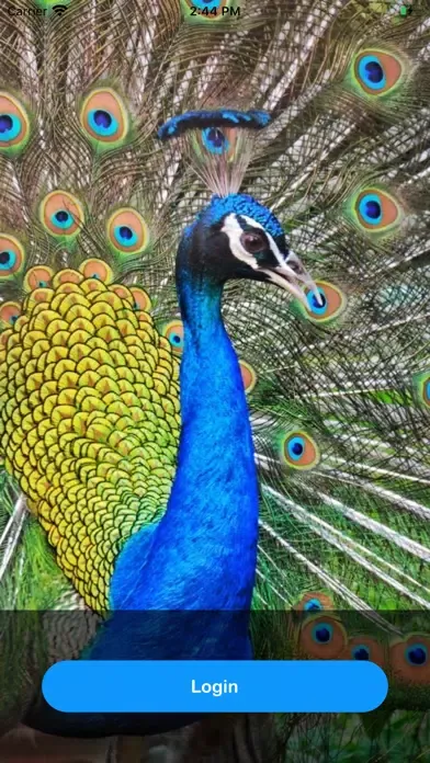 BEL VKYC স্ক্রিনশট