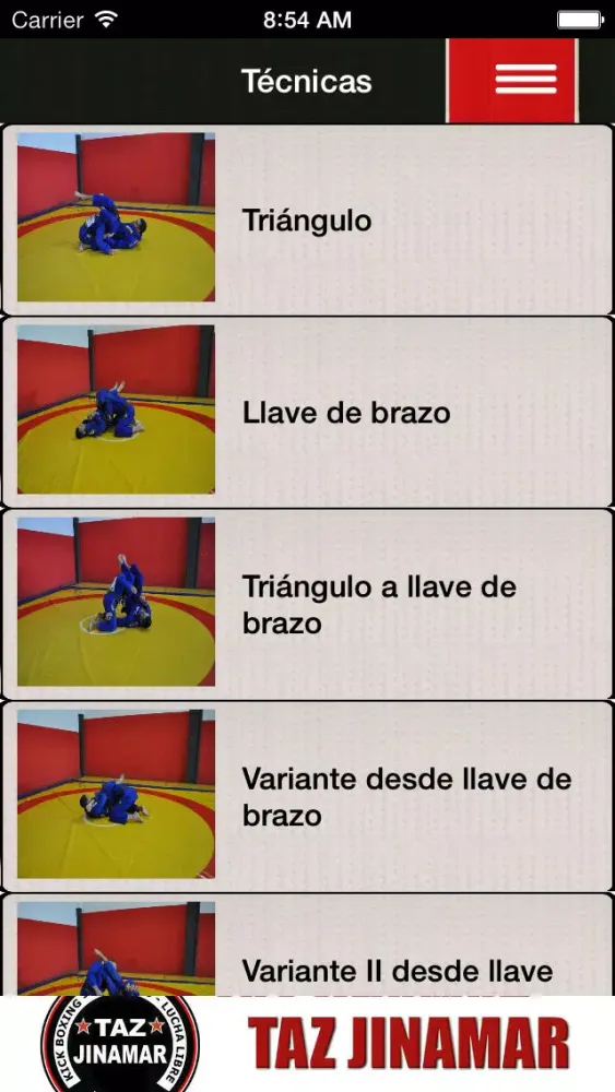 BJJ Práctico: Básico স্ক্রিনশট