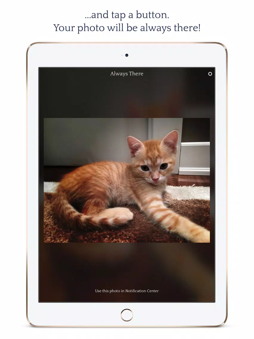 Screenshot di Always There - Your most precious photo in a Notification Center widget iPad 