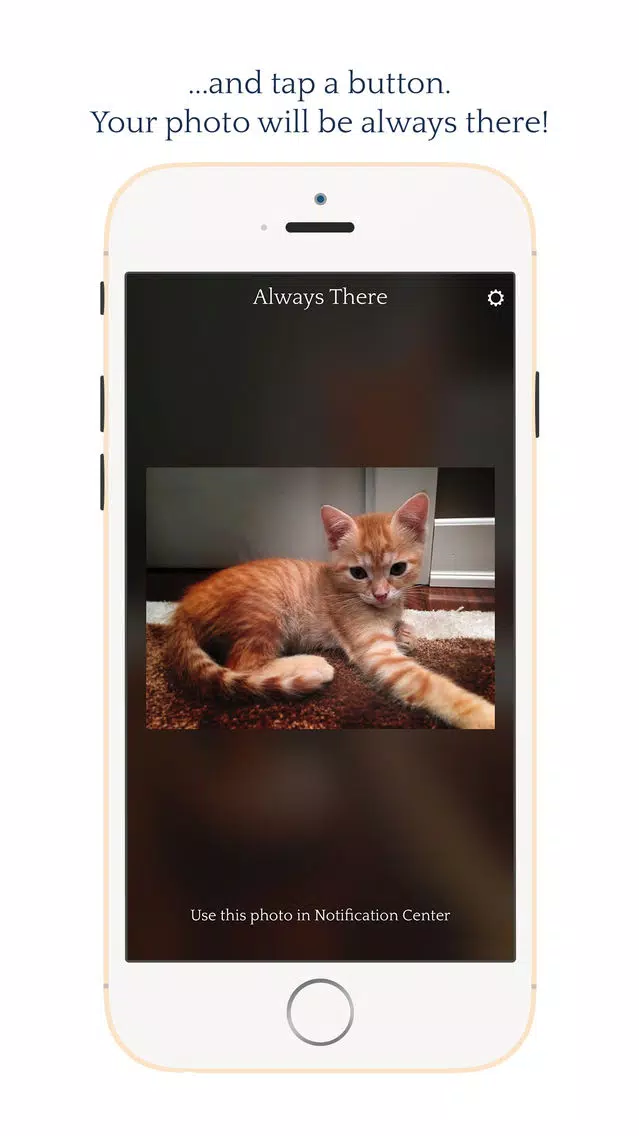 Screenshot di Always There - Your most precious photo in a Notification Center widget