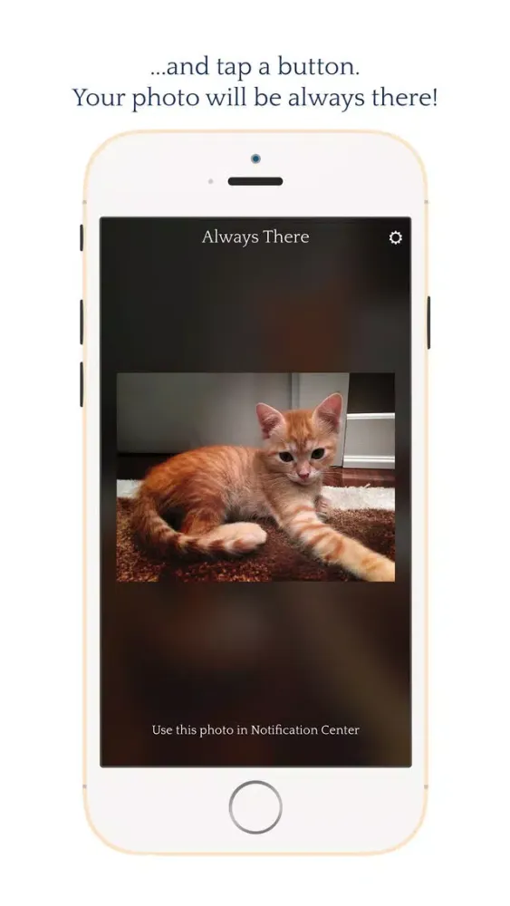 Always There - Your most precious photo in a Notification Center widget スクリーンショット